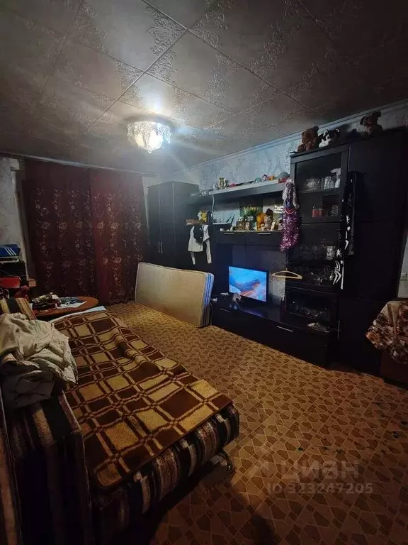 2-к кв. Чувашия, Новочебоксарск ул. 10-й Пятилетки, 20 (46.6 м) - Фото 1