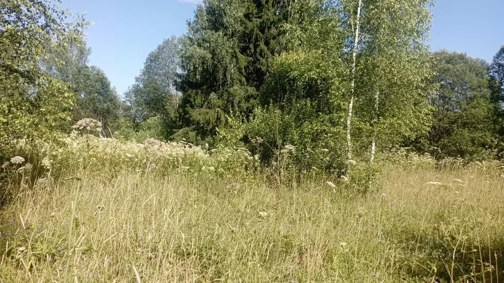 Участок в Московская область, Можайский муниципальный округ, д. ... - Фото 1