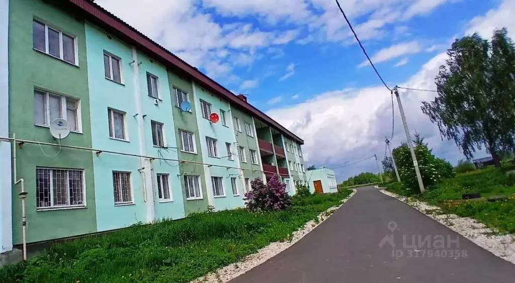 3-к кв. Татарстан, Зеленодольский район, Нижние Вязовые муниципальное ... - Фото 1