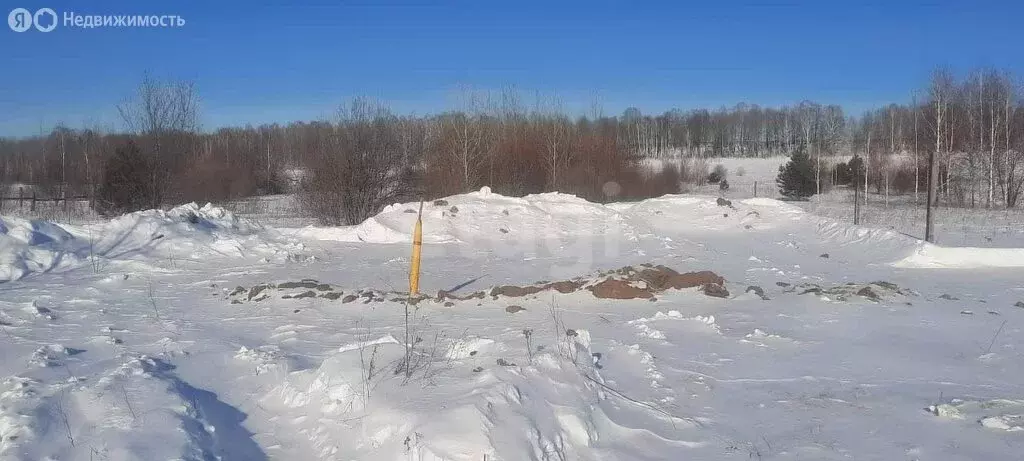 Участок в деревня Загваздина, Молодёжная улица (22 м) - Фото 0