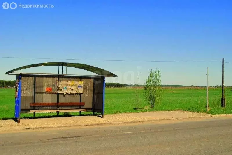 Участок в муниципальное образование Киров, деревня Гуси, Кедровая ... - Фото 2