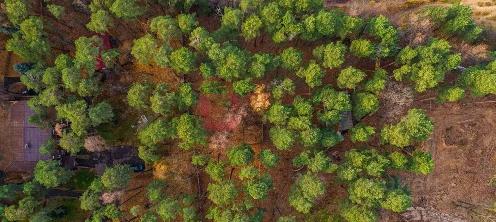 Участок в Москва 2-я Хорошевского Серебряного Бора линия (32.62 сот.) - Фото 2