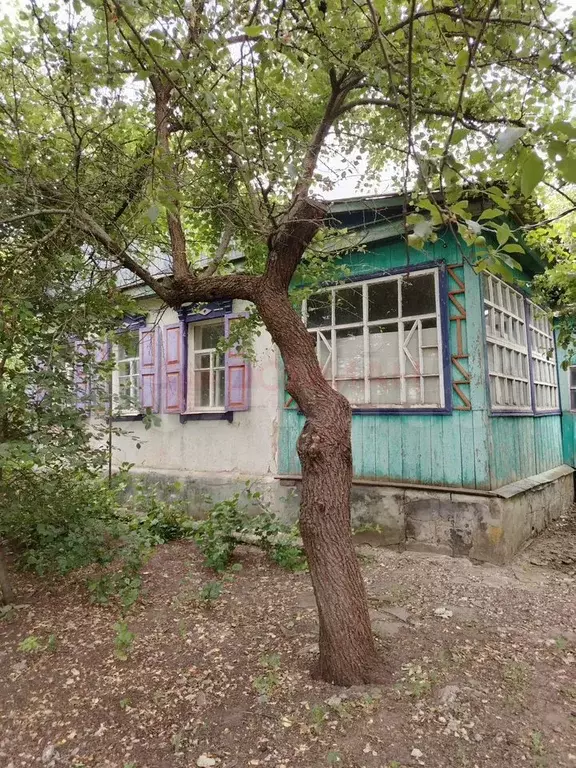 Дом 46,3 м на участке 3 сот. - Фото 0