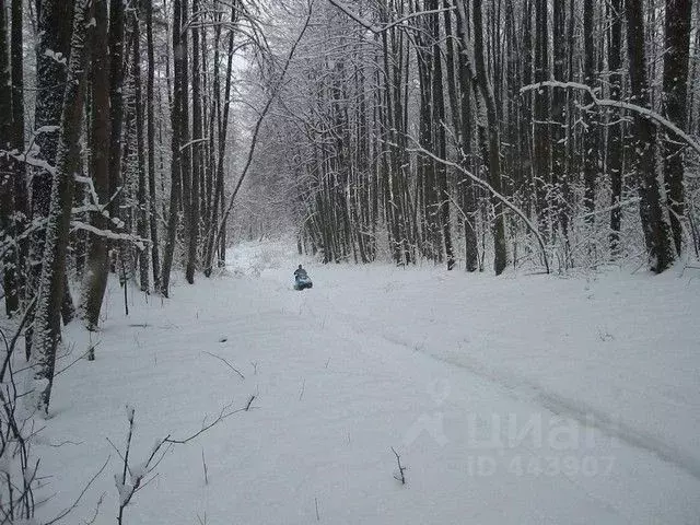 Участок в Владимирская область, Александровский район, д. Перематкино  ... - Фото 0