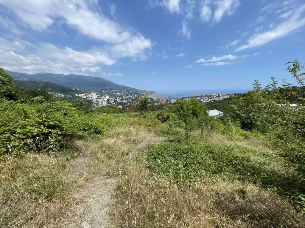 Участок в Крым, Ялта муниципальный округ, Ливадия пгт  (12.76 сот.) - Фото 2