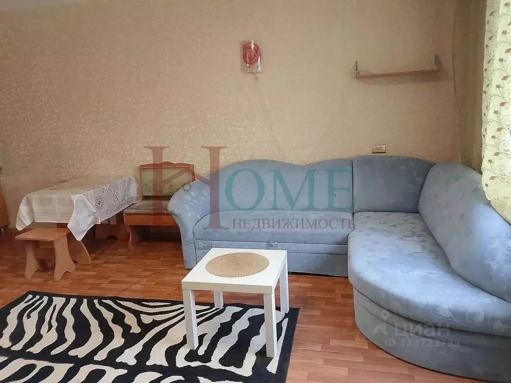 Студия Новосибирская область, Новосибирск ул. Татьяны Снежиной, 43 ... - Фото 2