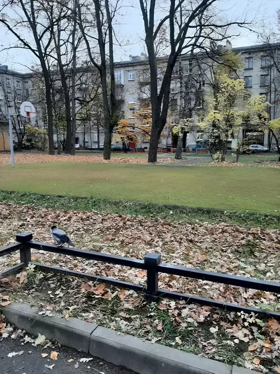 2-к кв. Санкт-Петербург просп. Энгельса, 28 (51.0 м) - Фото 1