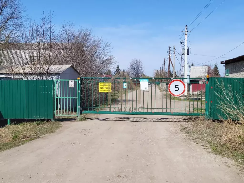 Участок в Омская область, Омский район, Дружинское с/пос, Энергетик ... - Фото 0