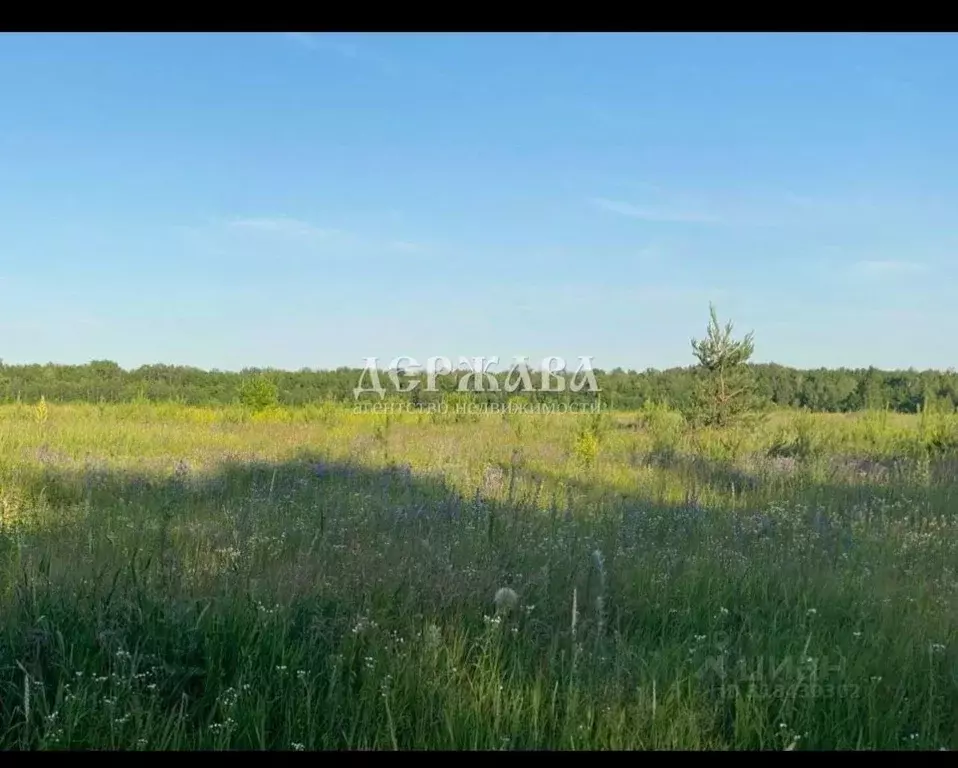 Участок в Белгородская область, Старый Оскол ул. Черемуховая (15.0 ... - Фото 0