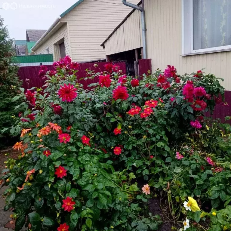 Дом в Саяногорск, Дружная улица, 7 (76 м) - Фото 2