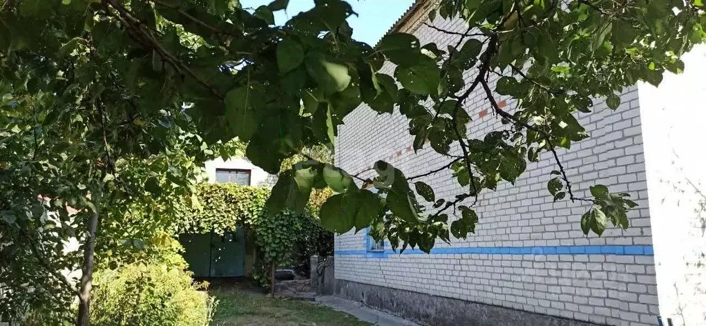 Дом в Белгородская область, Волоконовка рп пер. Есенина (245 м) - Фото 1