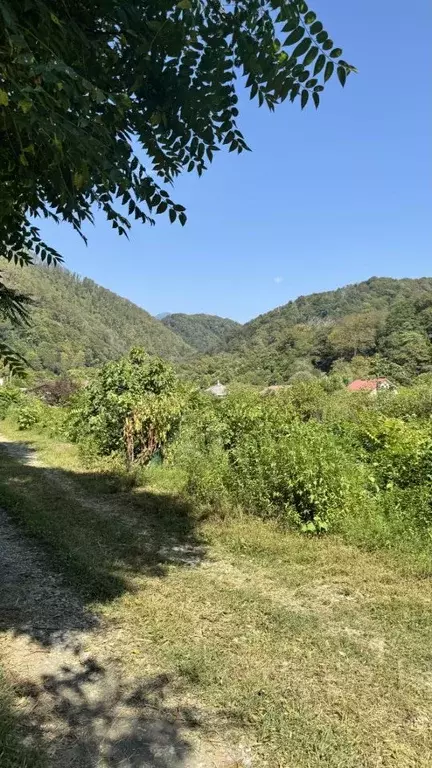 Участок в Краснодарский край, Сочи городской округ, с. Пластунка ул. ... - Фото 0