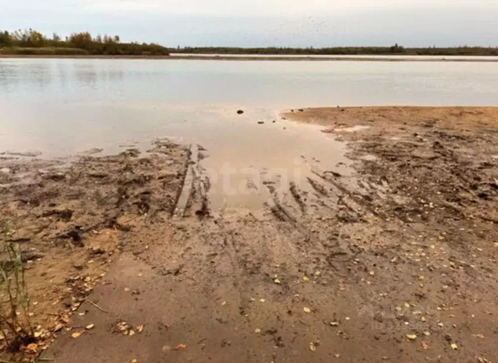 Участок в Ленинградская область, Лодейнопольский район, Доможировское ... - Фото 1