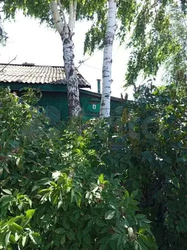 Дом 44,2 м на участке 4,4 сот. - Фото 1