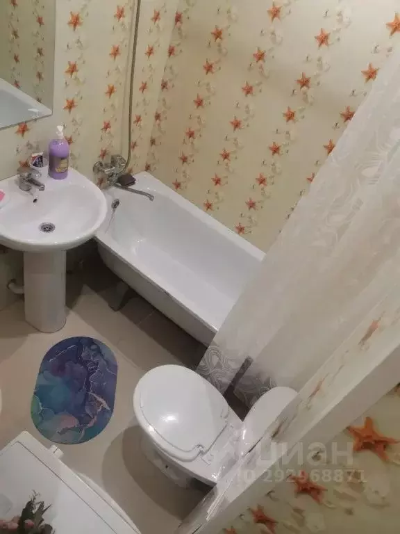 1-к кв. Вологодская область, Вологда Ярославская ул., 42 (30.0 м) - Фото 1