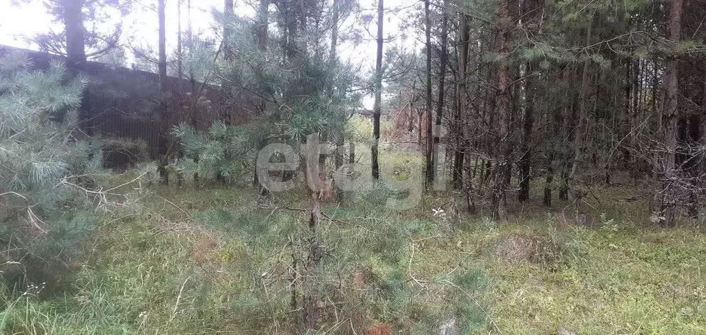 Участок в Брянская область, Брянский район, Супоневское с/пос, д. ... - Фото 1