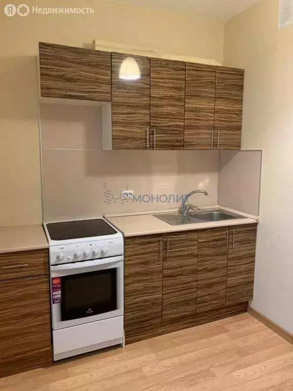 1-комнатная квартира: деревня Анкудиновка, Русская улица, 4 (36 м) - Фото 1