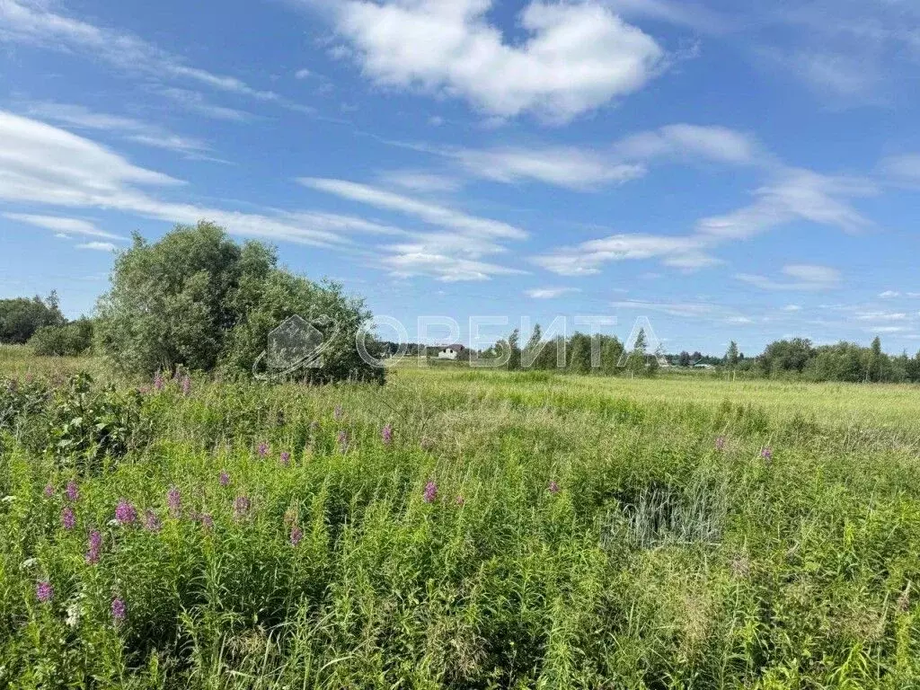 Участок в Тюменская область, Нижнетавдинский район, Душевное садовое ... - Фото 1