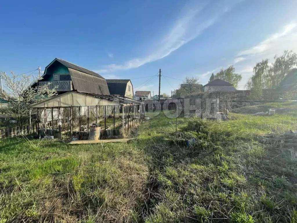 Участок в Брянская область, Брянск Болва садовое общество, 287 (4.0 ... - Фото 1