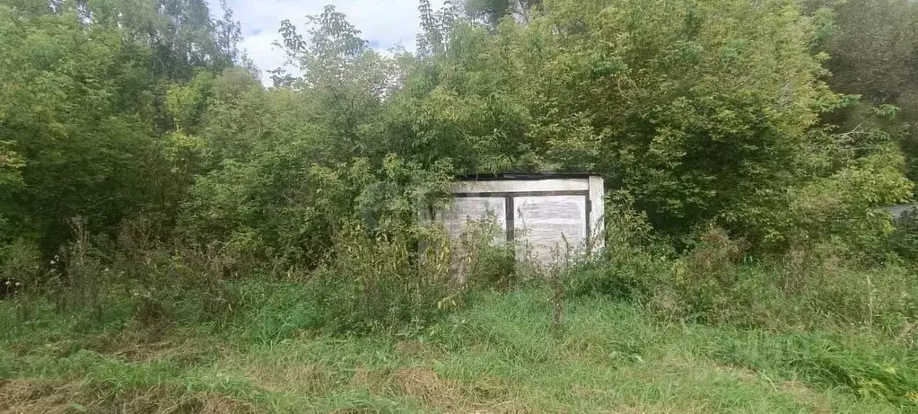 Участок в Липецкая область, Задонский муниципальный округ, д. Синявка  ... - Фото 2