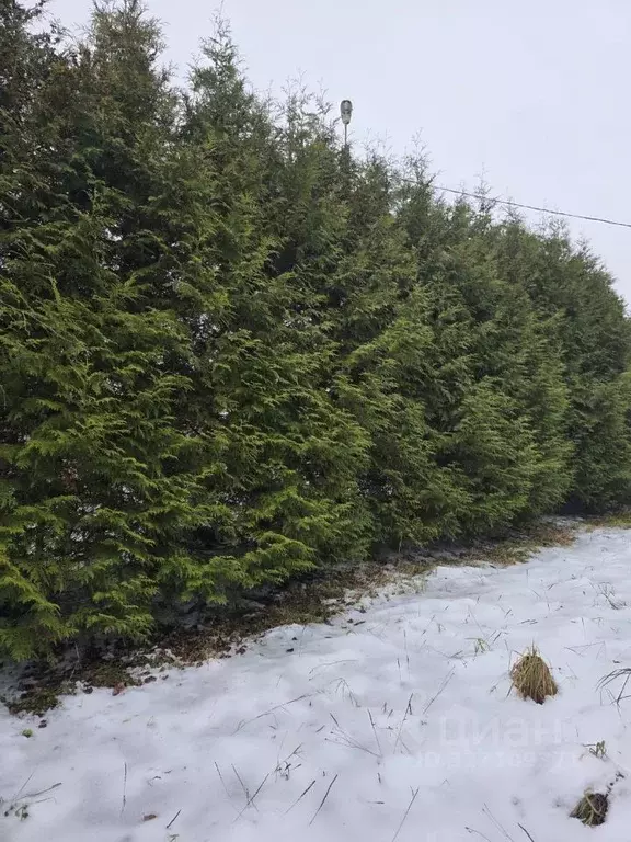 Дом в Ярославская область, Первомайский муниципальный округ, д. ... - Фото 1