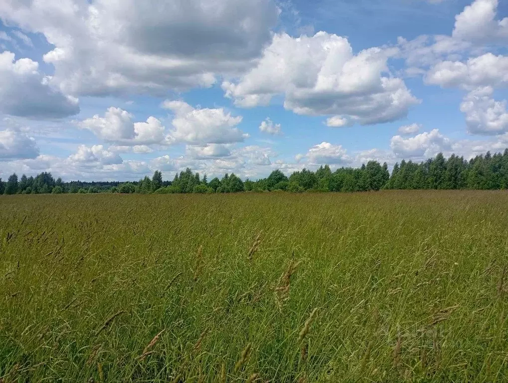 Участок в Московская область, Талдомский городской округ, д. Костино  ... - Фото 1