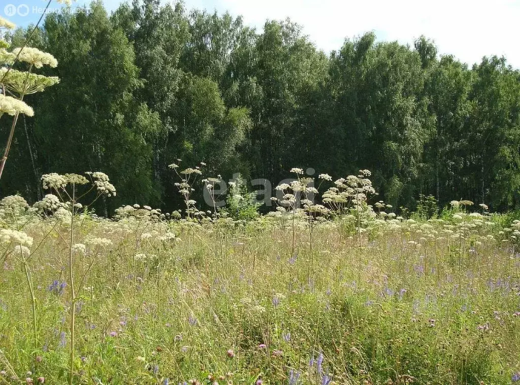Участок в деревня Каменка (7 м) - Фото 0