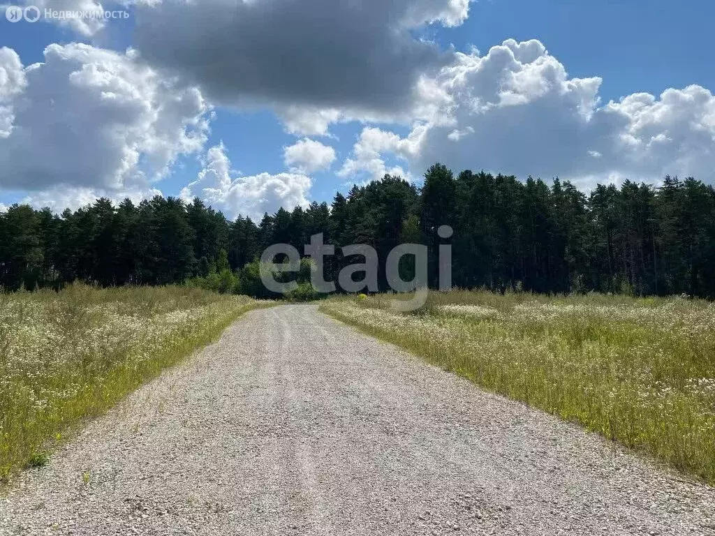 Участок в Брянский район, Новодарковичское сельское поселение, деревня ... - Фото 0