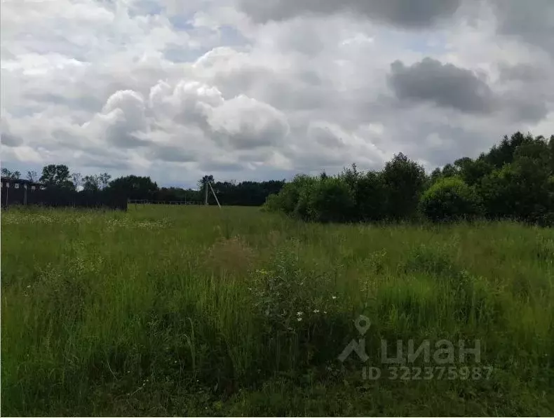 Участок в Московская область, Чехов муниципальный округ, д. Березенки  ... - Фото 1