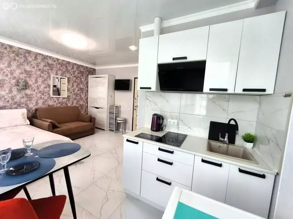Квартира-студия: Анапа, Пионерский проспект, 100Вк2 (22 м) - Фото 2
