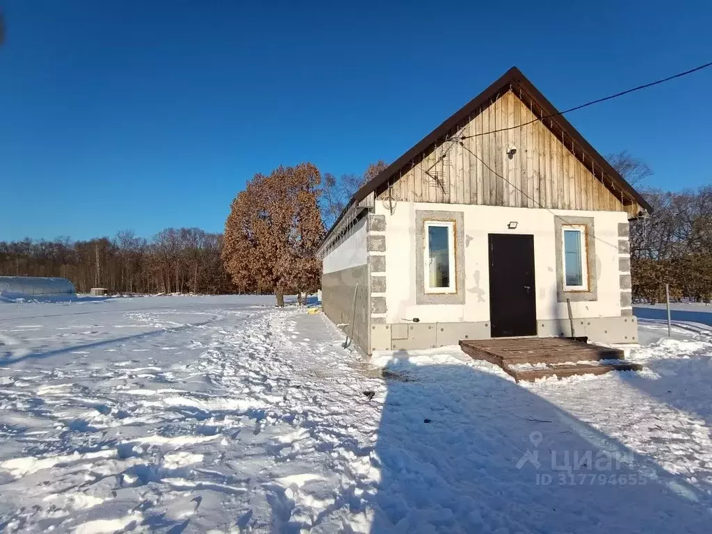 Дом в Амурская область, Благовещенский район, с. Кантон-Коммуна ул. ... - Фото 2