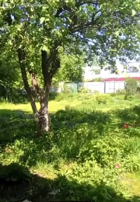 Участок в деревня Сёмкино, СНТ Сёмкино, 3 (9.45 м) - Фото 1