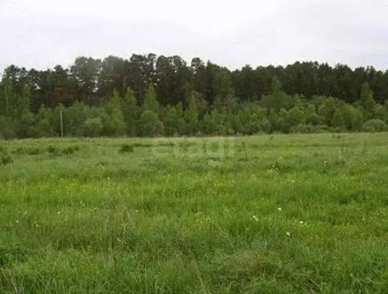 Участок в Курган, СНТ Нива (5 м) - Фото 1