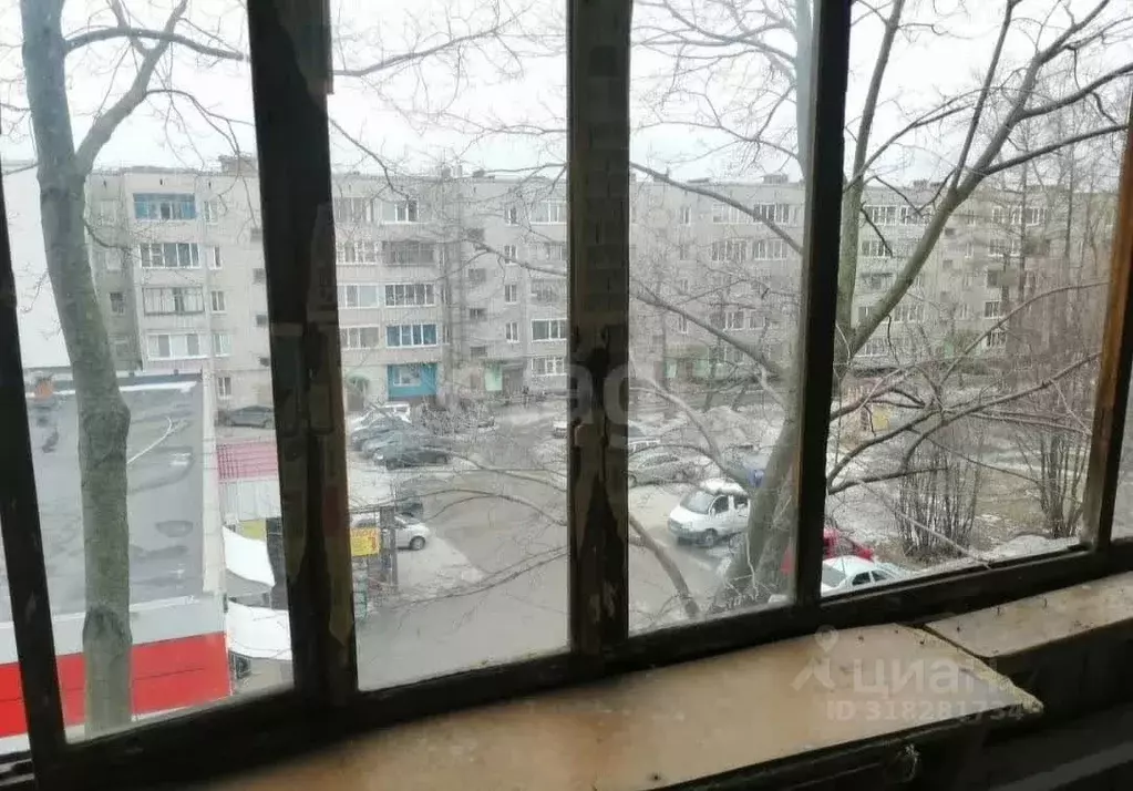 2-к кв. Вологодская область, Череповец ул. Партизана Окинина, 4 (53.3 ... - Фото 1