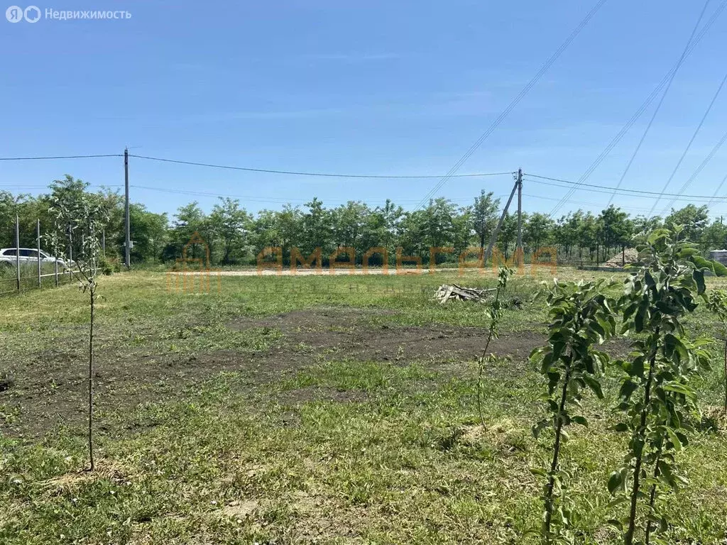 Участок в Ставрополь, садовое товарищество Механизатор-2, Кленовая ... - Фото 1