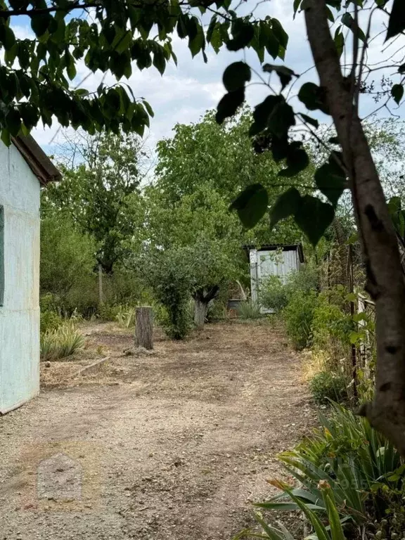Участок в Крым, Симферопольский район, Трудовское с/пос, Живописное ... - Фото 1