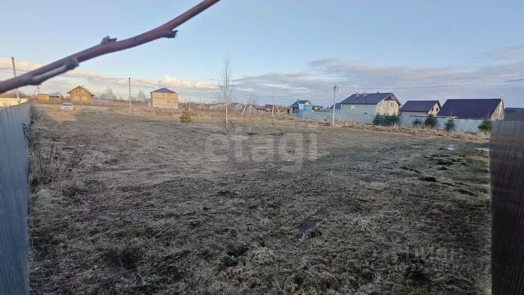 Участок в Вологодская область, д. Чашниково (Семенковский сельсовет), ... - Фото 2