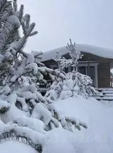 Дом в Бурятия, Баргузинский район, Усть-Баргузин пгт, Лопатки ... - Фото 0