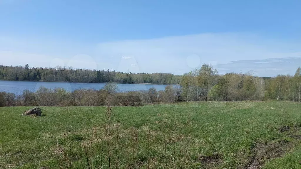 Участок 121,5 га (СНТ, ДНП) - Фото 1
