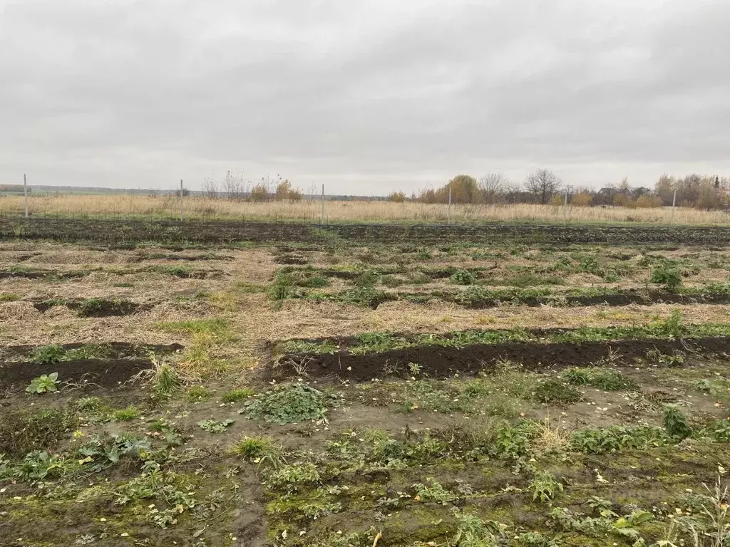Участок в Московская область, Луховицы муниципальный округ, д. ... - Фото 1