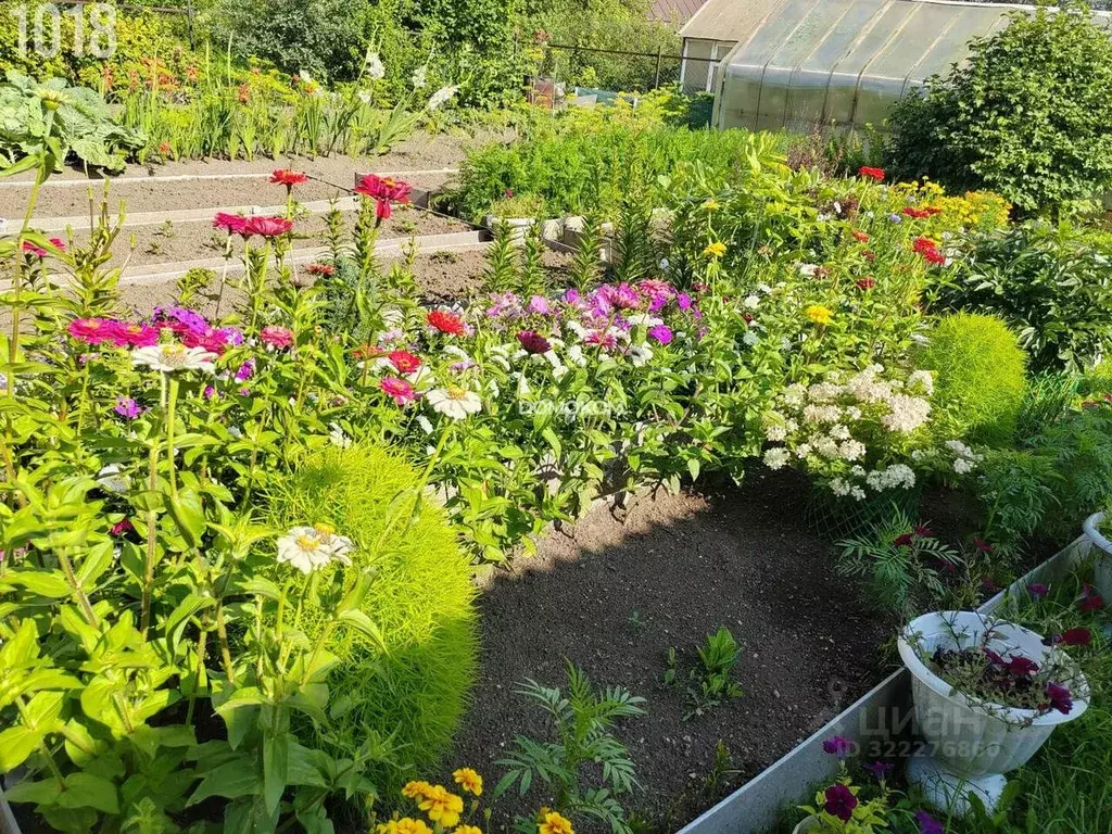 Дом в Свердловская область, Нижний Тагил № 6 УВЗ Березка СНТ, ул. 8-я ... - Фото 2