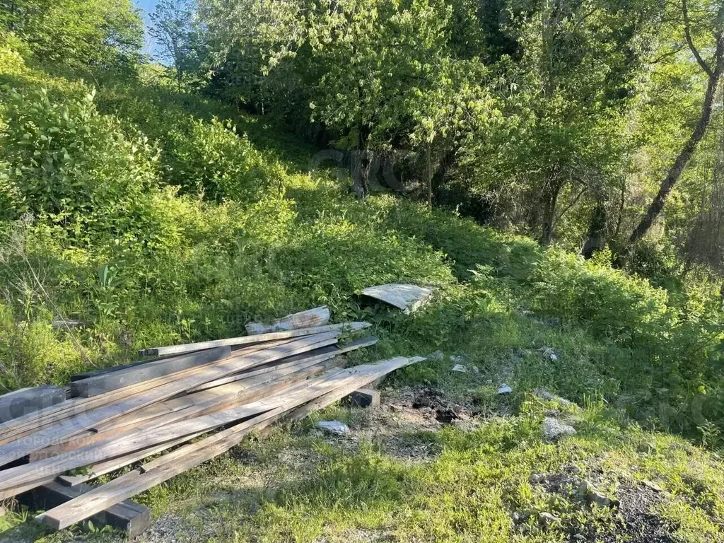 Участок в Краснодарский край, Сочи городской округ, с. Васильевка ул. ... - Фото 1