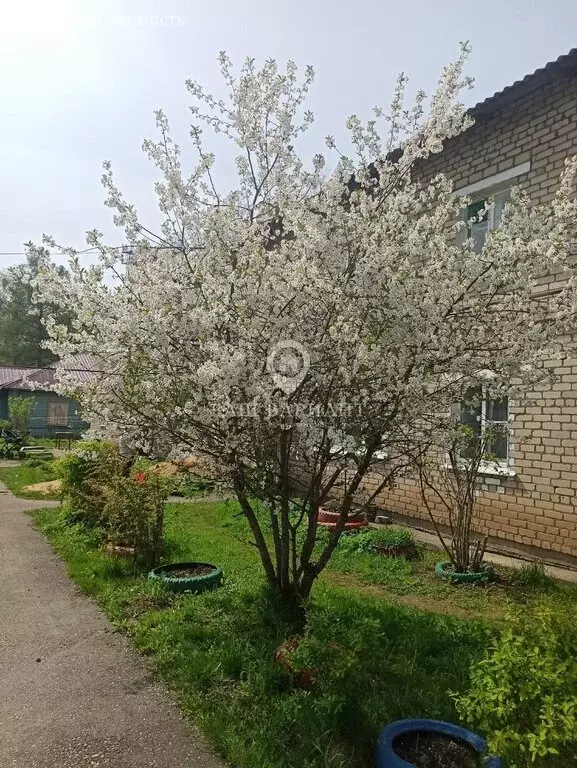 2-комнатная квартира: село Новый Некоуз, Кооперативная улица, 5 (40 м) - Фото 0