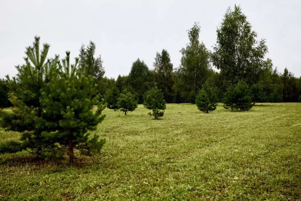 Участок в Тульская область, Заокский район, Малаховское с/пос, Нова ... - Фото 2