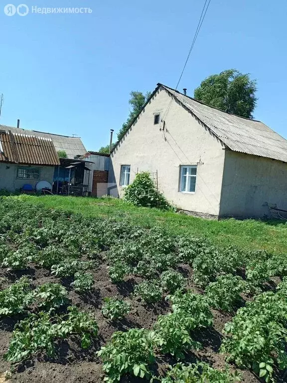 Дом в Чистюнька, Западная улица, 22 (80.6 м) - Фото 1