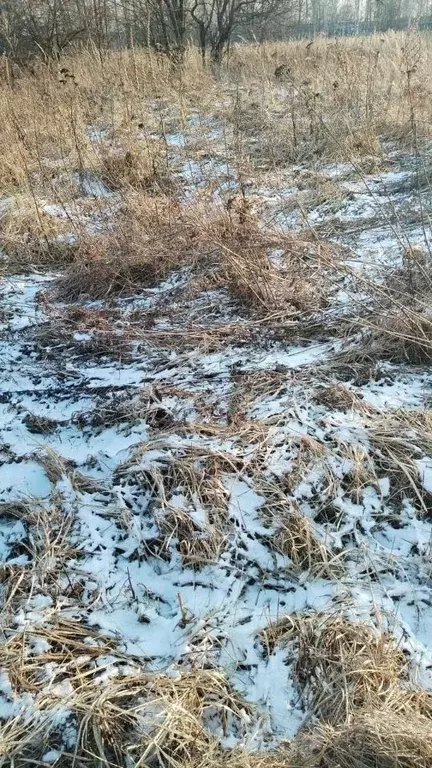 Участок в Московская область, Ступино городской округ, с. Новоселки  ... - Фото 0