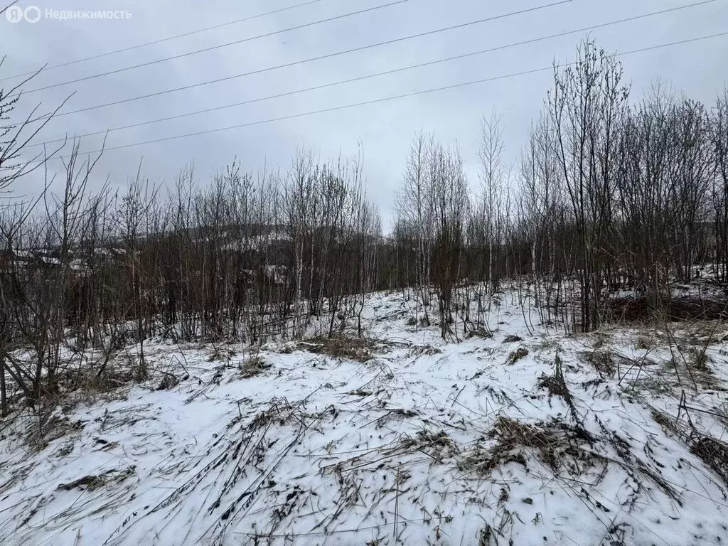 Участок в Горно-Алтайск, Манжерокская улица (9.3 м) - Фото 1