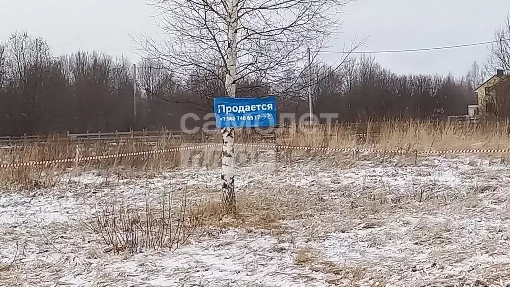 Участок в Костромская область, Кострома ул. Родная (11.8 сот.) - Фото 0