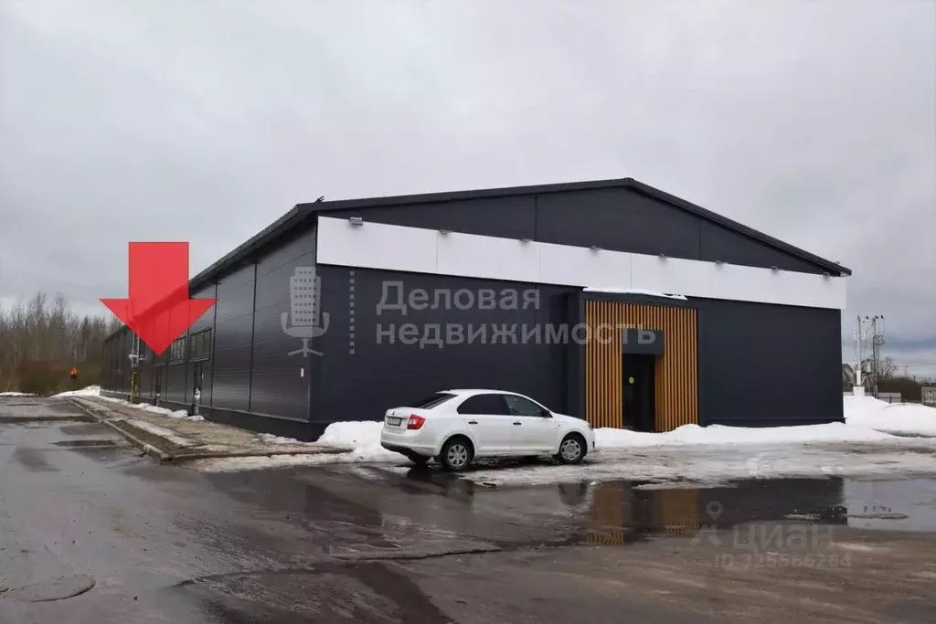 Торговая площадь в Новгородская область, Великий Новгород ул. ... - Фото 1