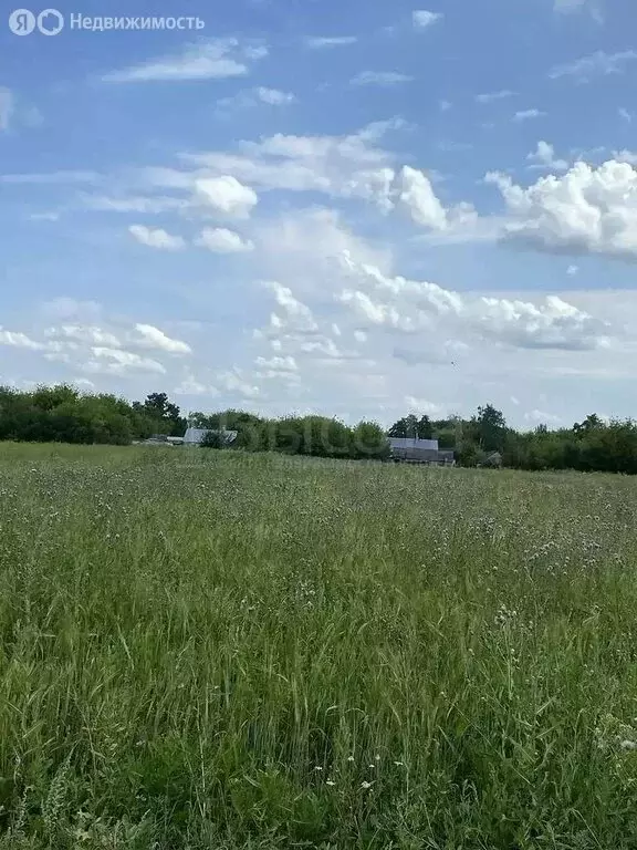 Участок в село Грушино, Школьная улица, 13 (45 м) - Фото 1